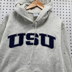 Utah State USU Champion Hoodie Mens Medium Gray 00s Aggies Pullover Sweatshirt