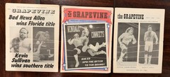 Lot of 3 VTG “The Grapevine” Florida Wrestling Programs Vol X #5-7 Scott Hall