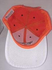 NEW DELMARVA SHOREBIRDS PROMOTIONAL ADVENTURES MD BASEBALL HAT ADJUSTABLE NEW