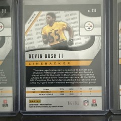 2019 Prizm Devin Bush II Partial Rainbow Lot 23 Cards Gold Gold/Red/Blue Shimmer