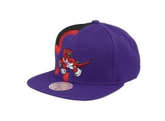Mitchell & Ness Toronto Raptors NBA Retroline HWC Snapback Hat Cap