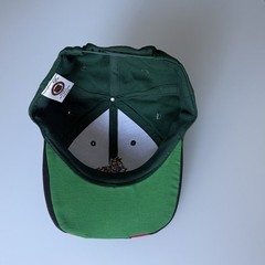 Vintage Arizona Coyotes Snapback Hat