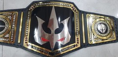 new Custom champion belt . 4mm Adult Size