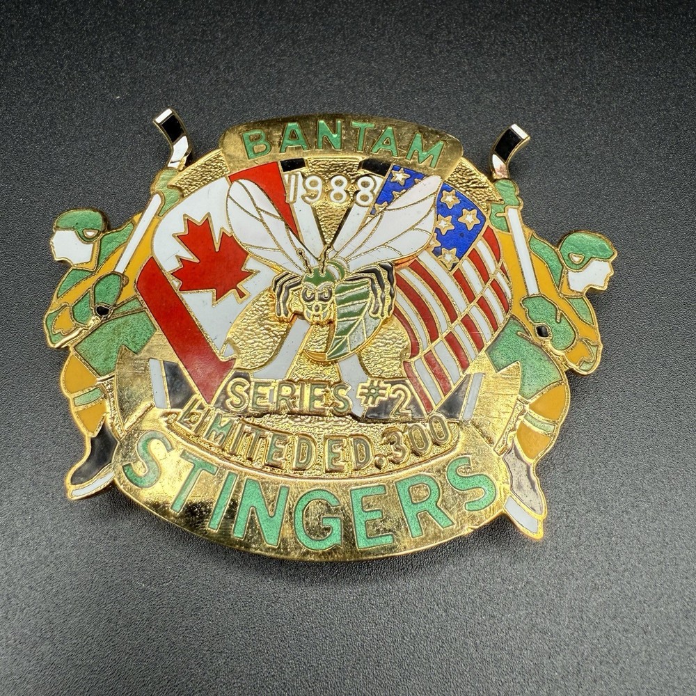 Vtg 80s Edina Hornets Hockey Limited Edition /300 Pin Minnesota BANTAM STINGERS