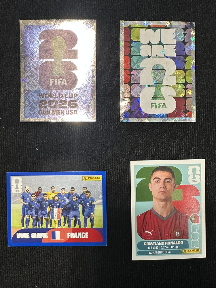 Fifa world cup 2026 panini trading stickers