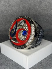 2019 WNBA Champions Washington Mystics Oversized Paperweight