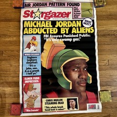 Original 1993 Nike Michael Jordan Stargazer Promo Poster #5341 Looney Tunes Rare