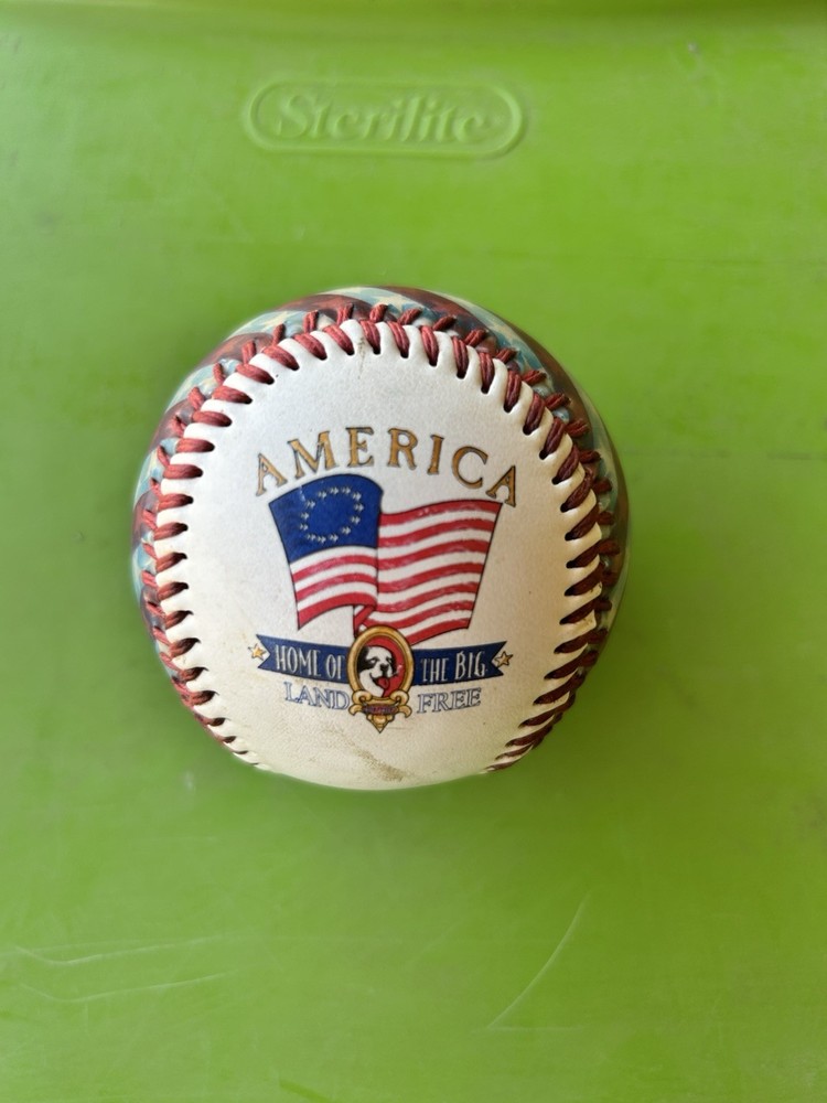 America Home of the Big Land of the Free Stars and Stripes Souvenir Baseball