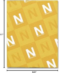 Ivory Card Stock, Neenah Exact Index 110 Lb – Durable, Acid-Free, 250 Count
